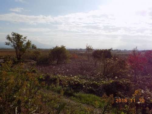 DSCN0004.JPG