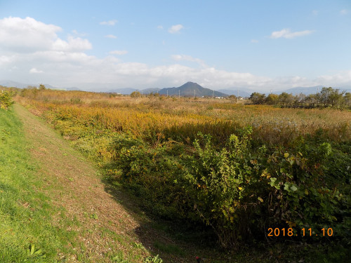 DSCN0007.JPG