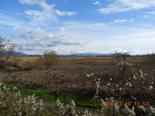 DSCN6411.JPG