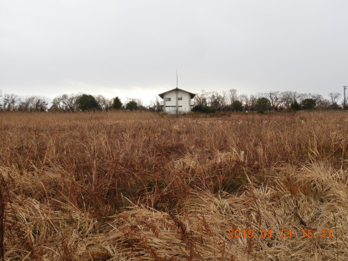 DSCN6869.JPG