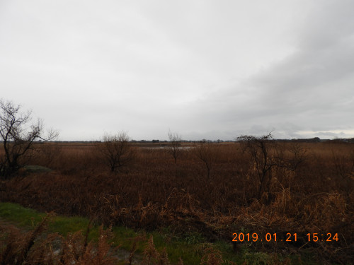 DSCN6871.JPG
