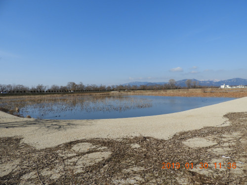 DSCN6961.JPG