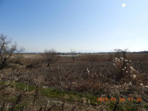 DSCN6962.JPG