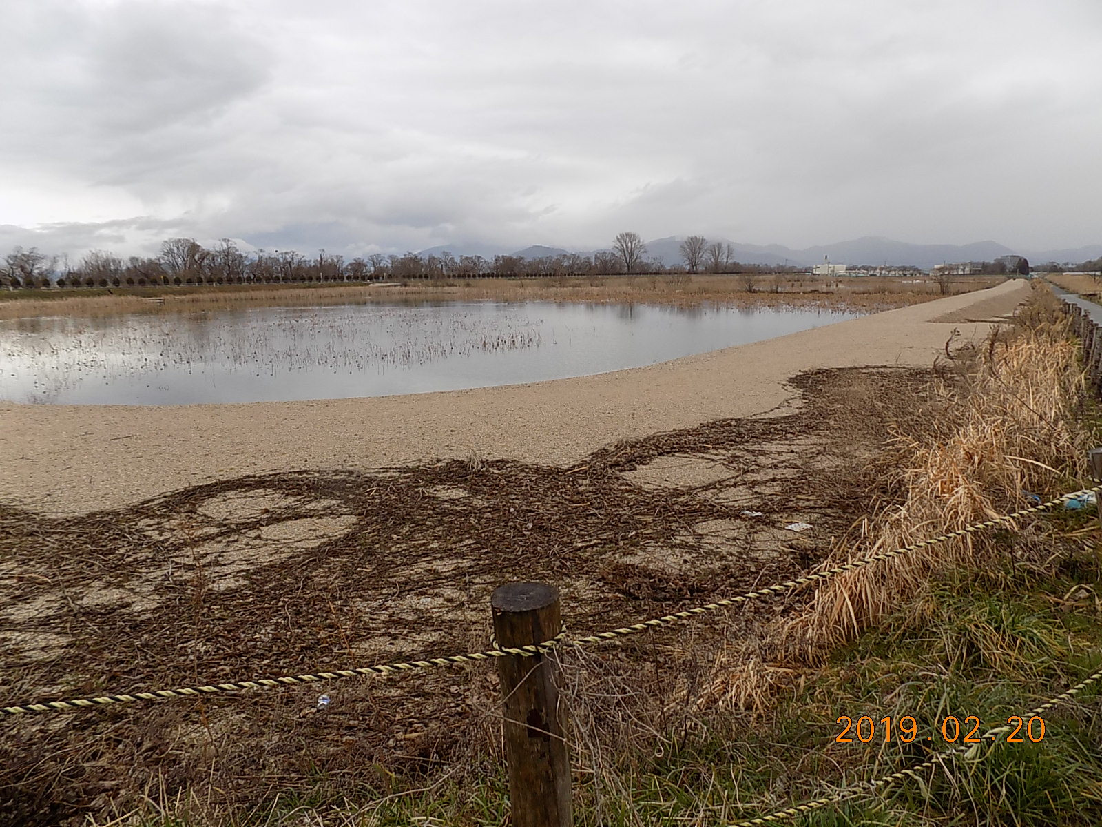 DSCN0195.JPG