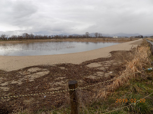 DSCN0195.JPG