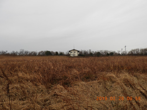 DSCN7198.JPG