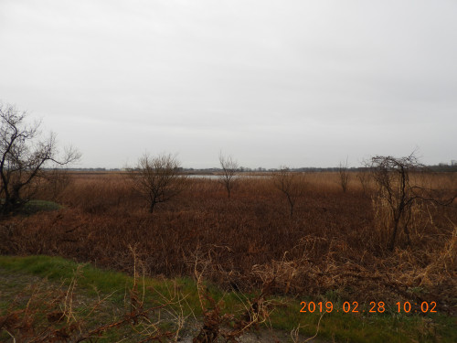 DSCN7203.JPG