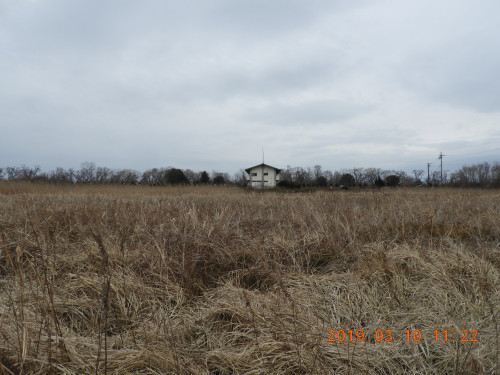 DSCN7291.JPG
