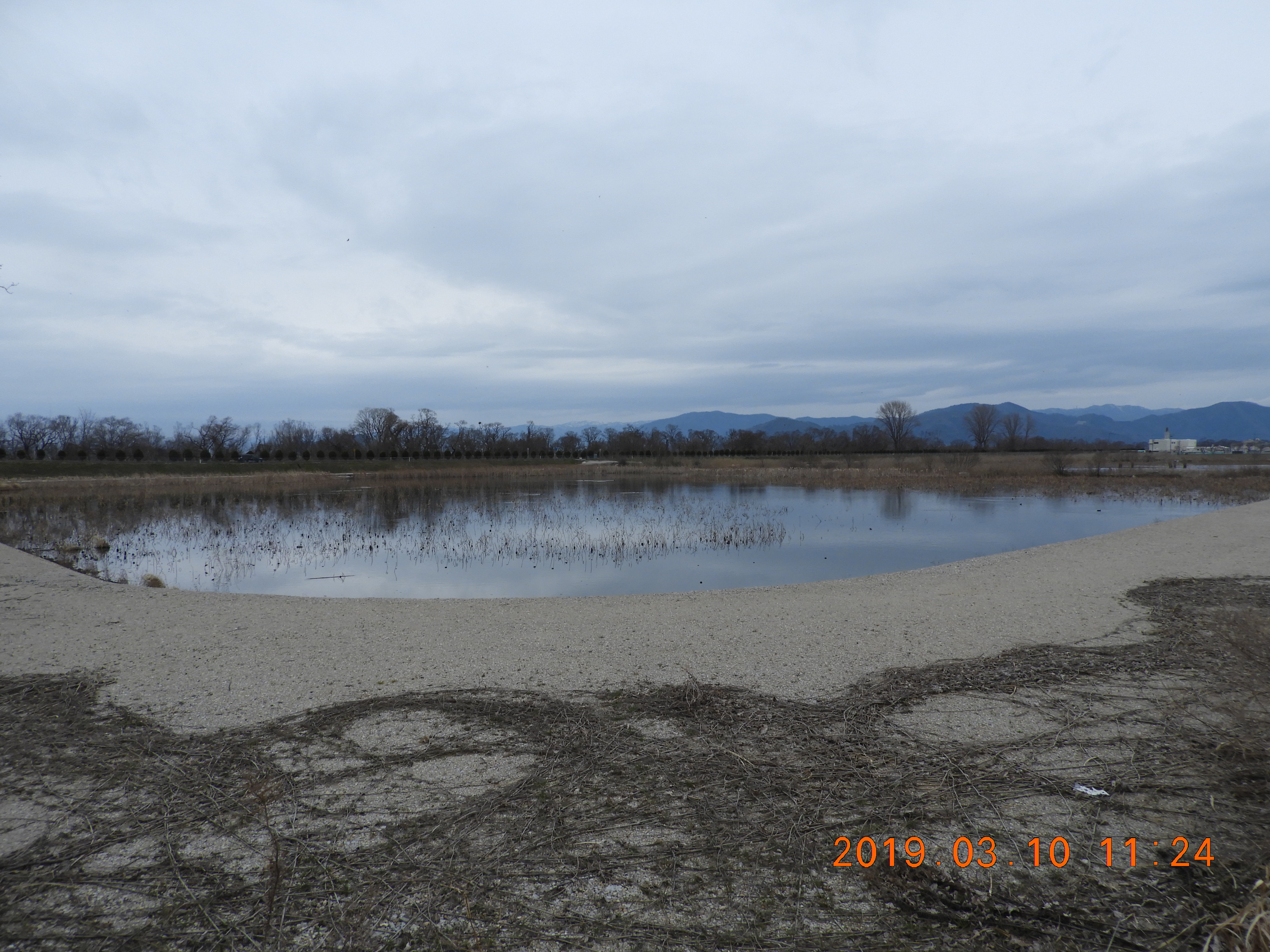 DSCN7292.JPG