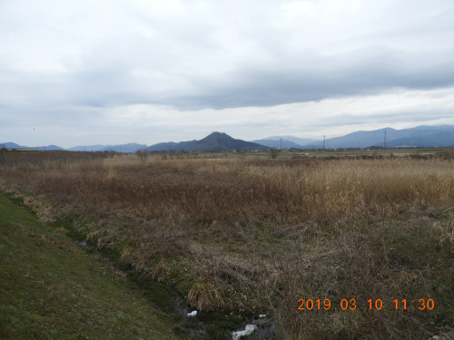 DSCN7295.JPG