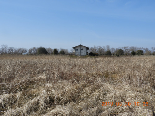 DSCN7423.JPG