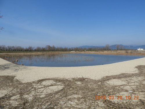 DSCN7422.JPG