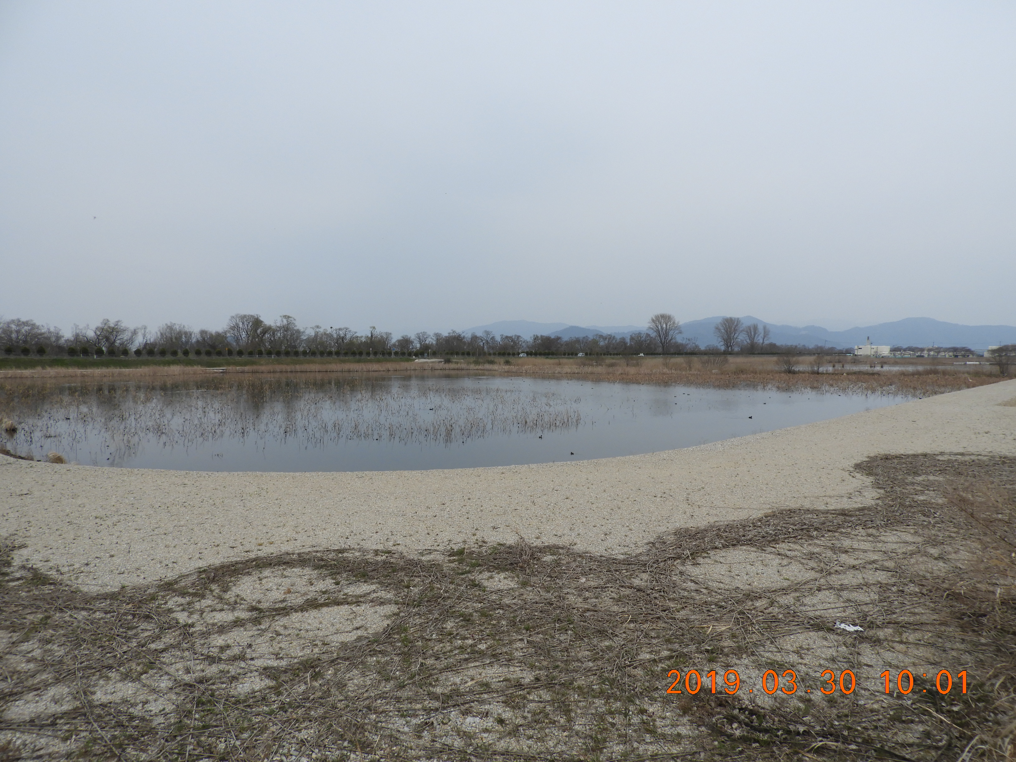 DSCN7536.JPG