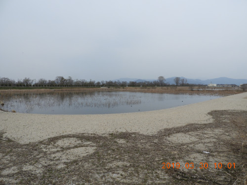 DSCN7536.JPG