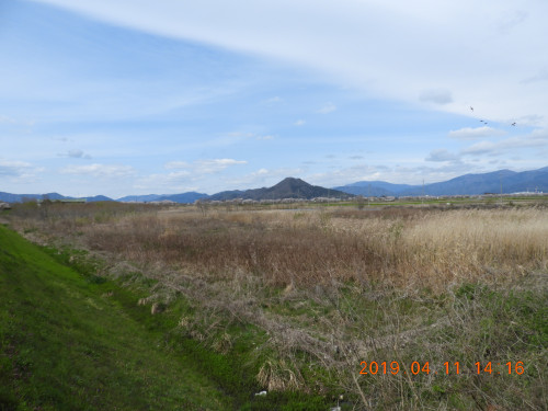 DSCN7748.JPG