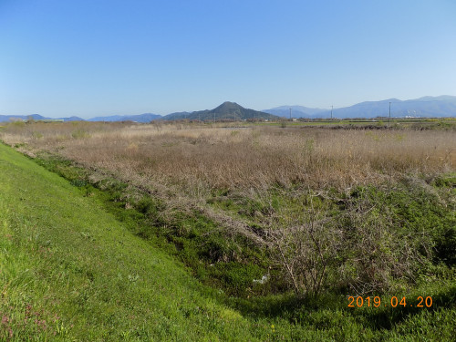 DSCN0254.JPG