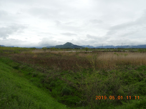 DSCN7921.JPG