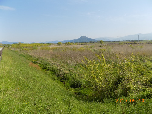 DSCN7835.JPG