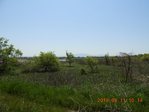 DSCN8049.JPG