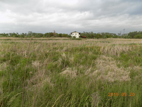 DSCN8054.JPG