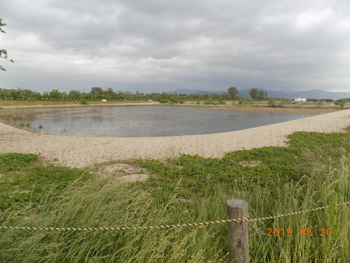 DSCN8055.JPG