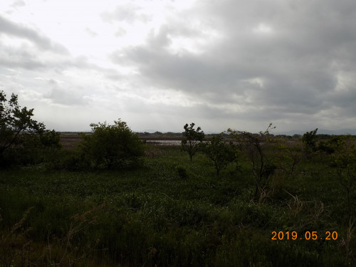 DSCN8056.JPG