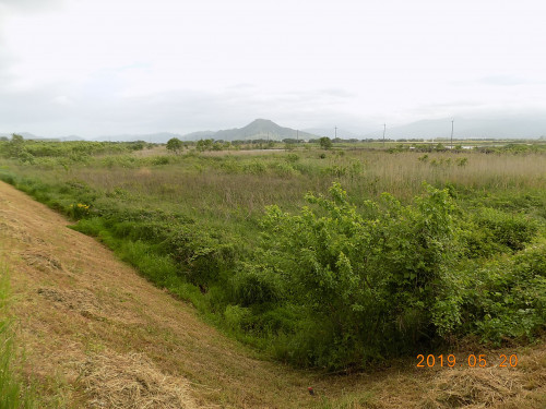 DSCN8059.JPG