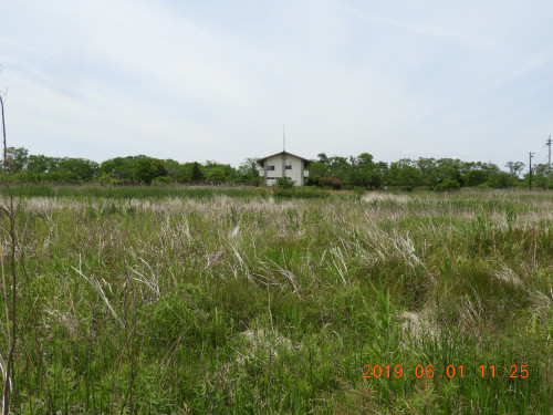 DSCN8217.JPG