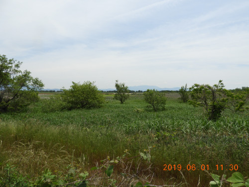 DSCN8219.JPG