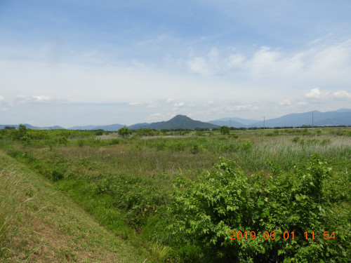 DSCN8223.JPG