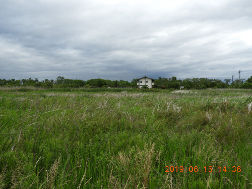 DSCN8496.JPG