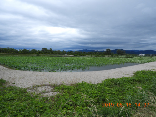 DSCN8497.JPG