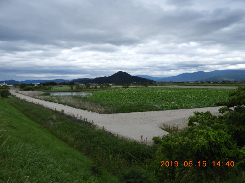 DSCN8498.JPG