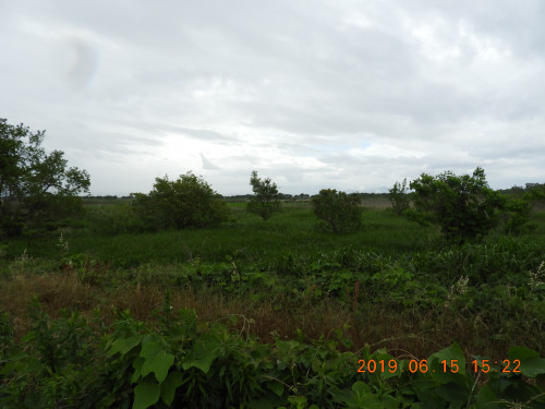 DSCN8500.JPG