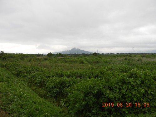 DSCN8687.JPG