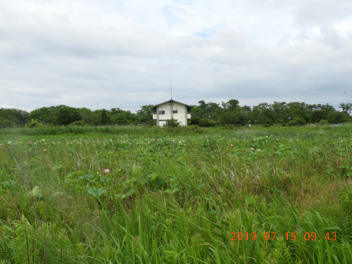 DSCN8794.JPG