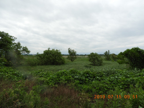DSCN8796.JPG