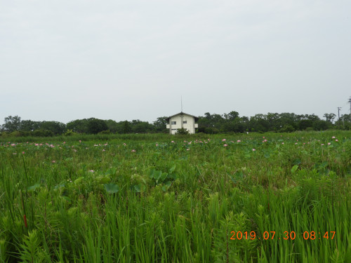 DSCN9099.JPG