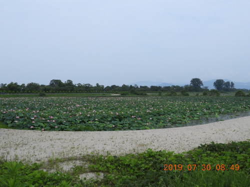 DSCN9102.JPG