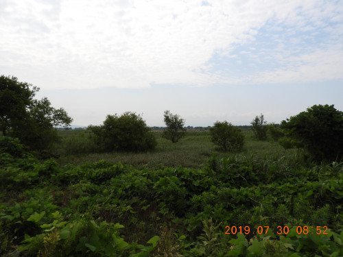 DSCN9103.JPG