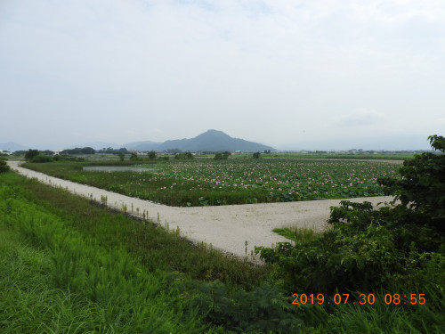 DSCN9106.JPG