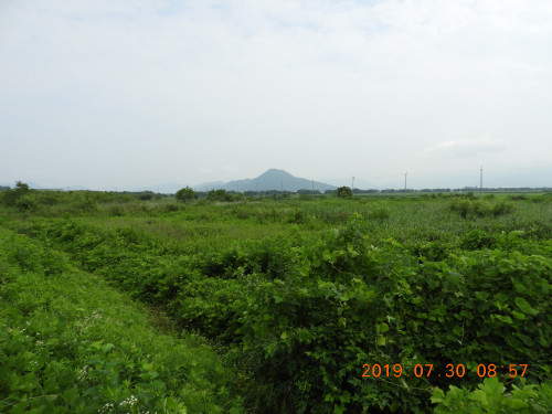 DSCN9107.JPG