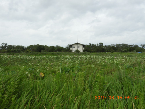 DSCN9298.JPG