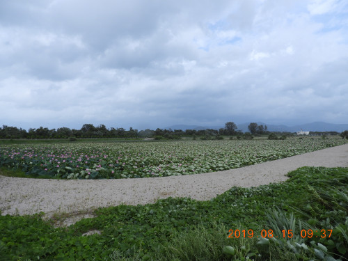 DSCN9300.JPG
