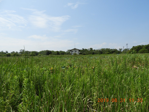DSCN9498.JPG
