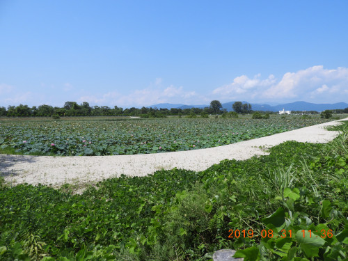 DSCN9500.JPG