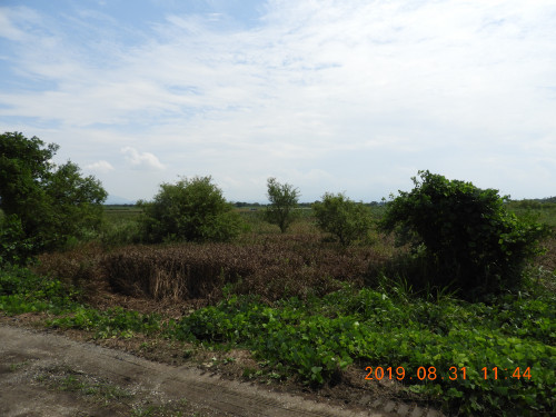 DSCN9507.JPG