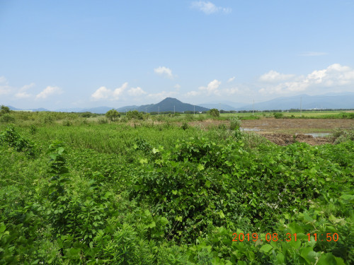 DSCN9512.JPG