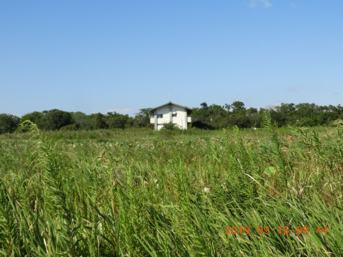 DSCN9605.JPG