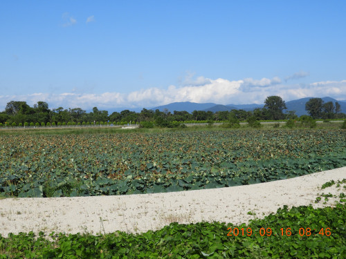 DSCN9606.JPG